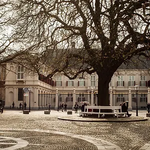 https://stayci-serviced-apartments-royal-palace.thehaguehotels.net